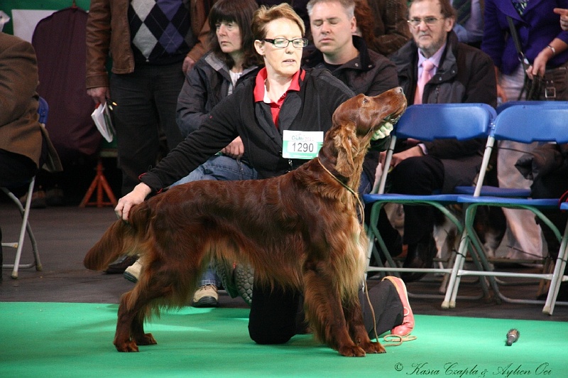 Crufts2011 552.jpg